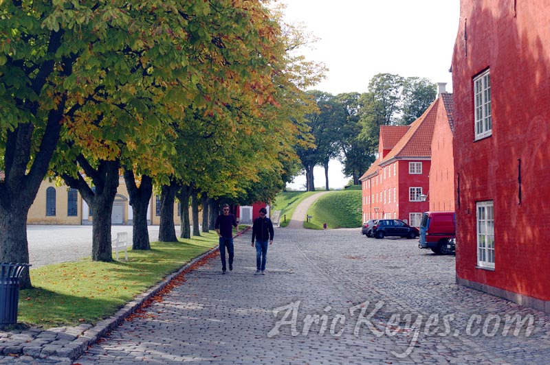 Denmark Landscape Photography